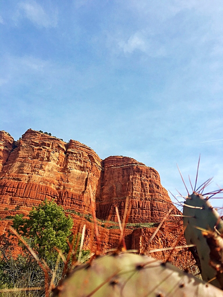 unadjustednonraw_thumb_f6a8