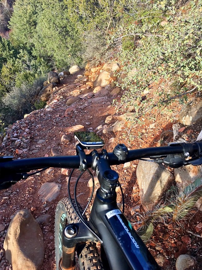 unadjustednonraw_thumb_f6de