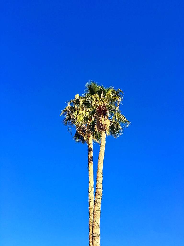 unadjustednonraw_thumb_f730