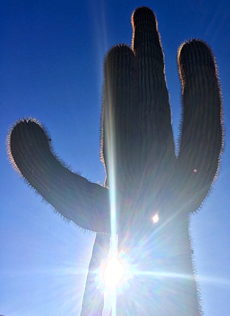 unadjustednonraw_thumb_f748