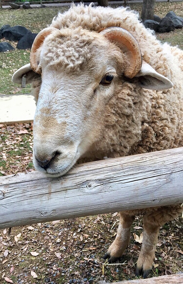 unadjustednonraw_thumb_f764