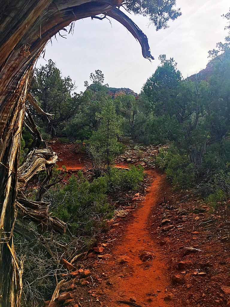 unadjustednonraw_thumb_f772