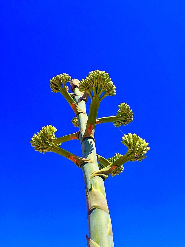 UNADJUSTEDNONRAW_thumb_10192