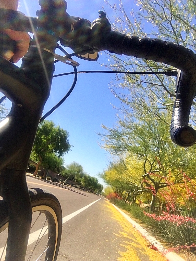 UNADJUSTEDNONRAW_thumb_10279