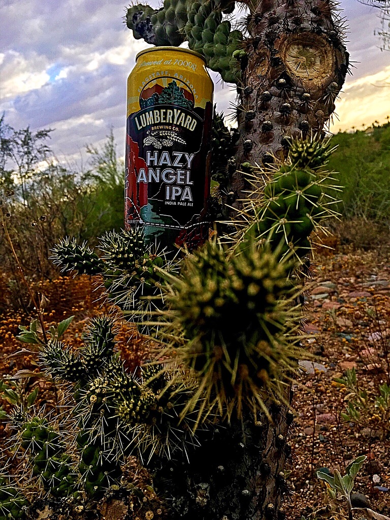 UNADJUSTEDNONRAW_thumb_10499