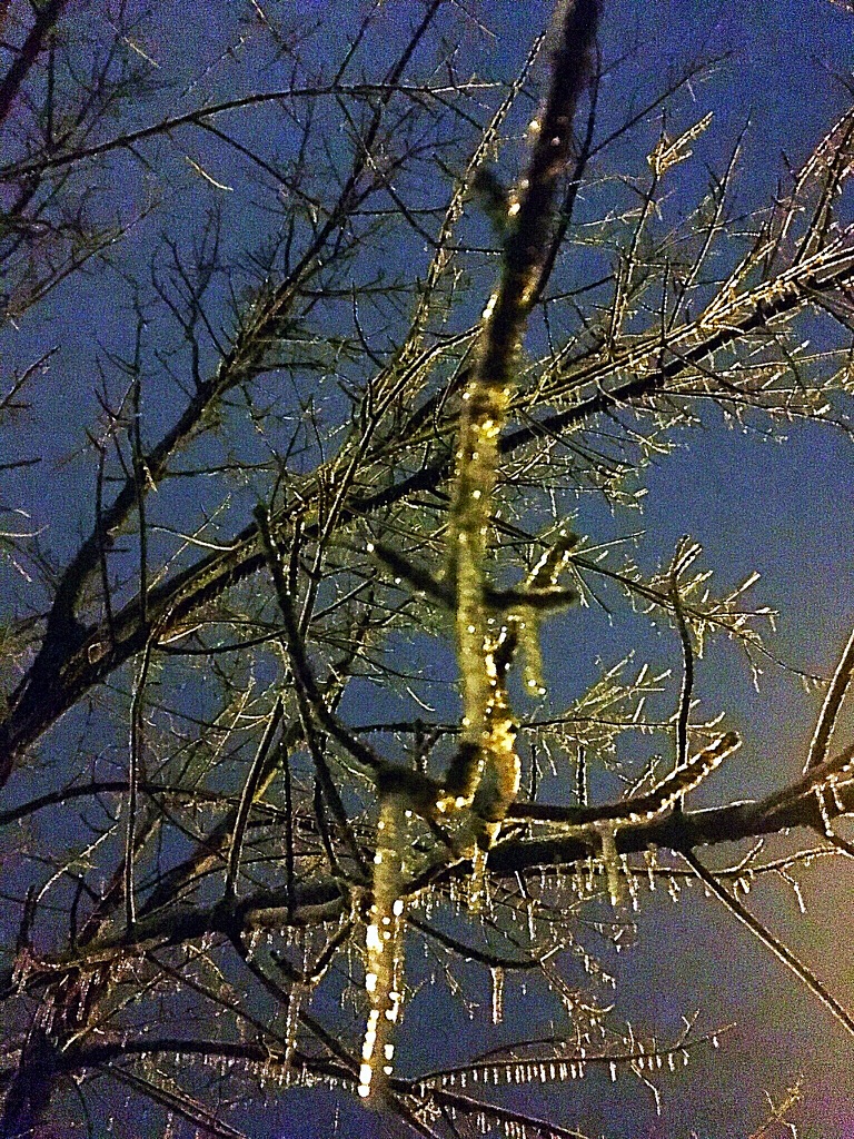 UNADJUSTEDNONRAW_thumb_f81b