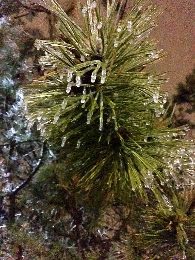 UNADJUSTEDNONRAW_thumb_f84c