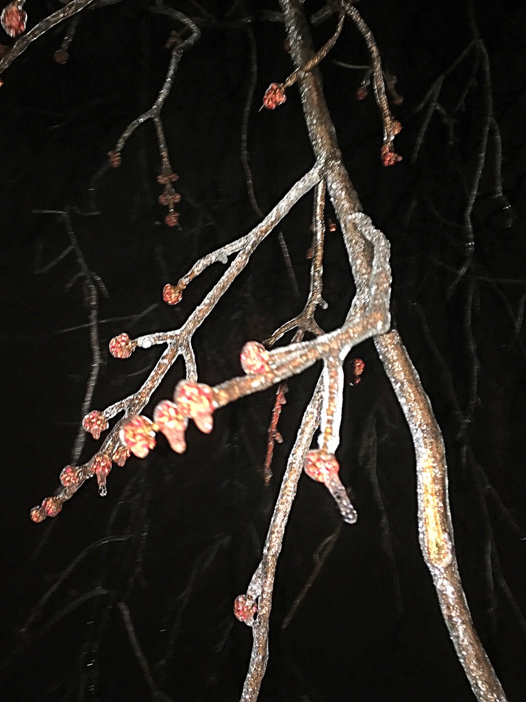 UNADJUSTEDNONRAW_thumb_f8c2