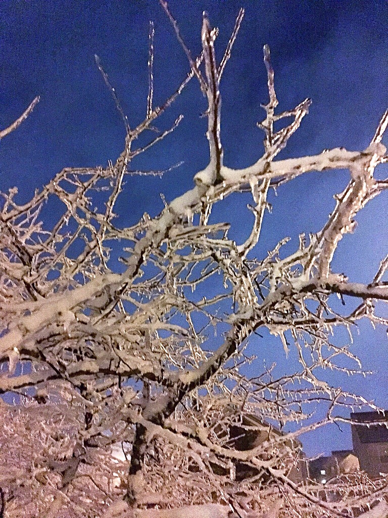 UNADJUSTEDNONRAW_thumb_f8e2