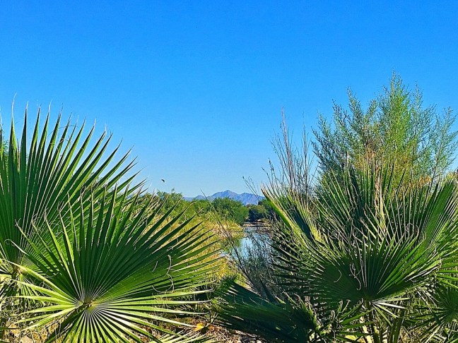 UNADJUSTEDNONRAW_thumb_108d8