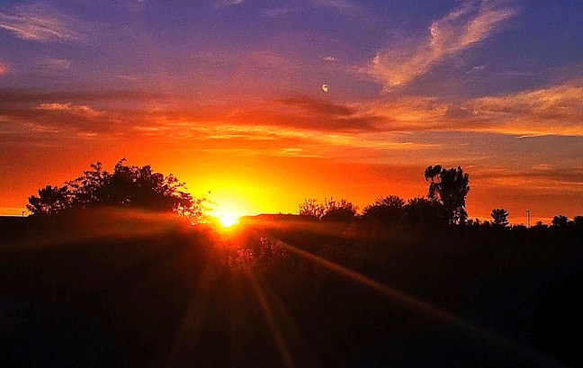 UNADJUSTEDNONRAW_thumb_10b97