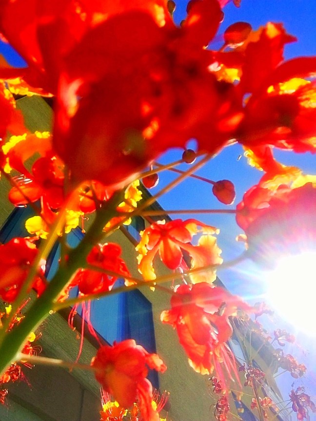 UNADJUSTEDNONRAW_thumb_10ba7