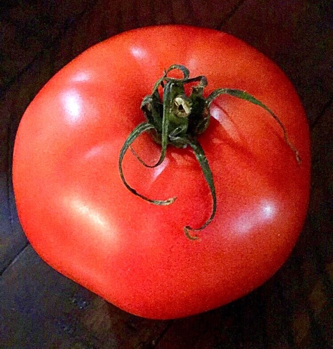 UNADJUSTEDNONRAW_thumb_10e19