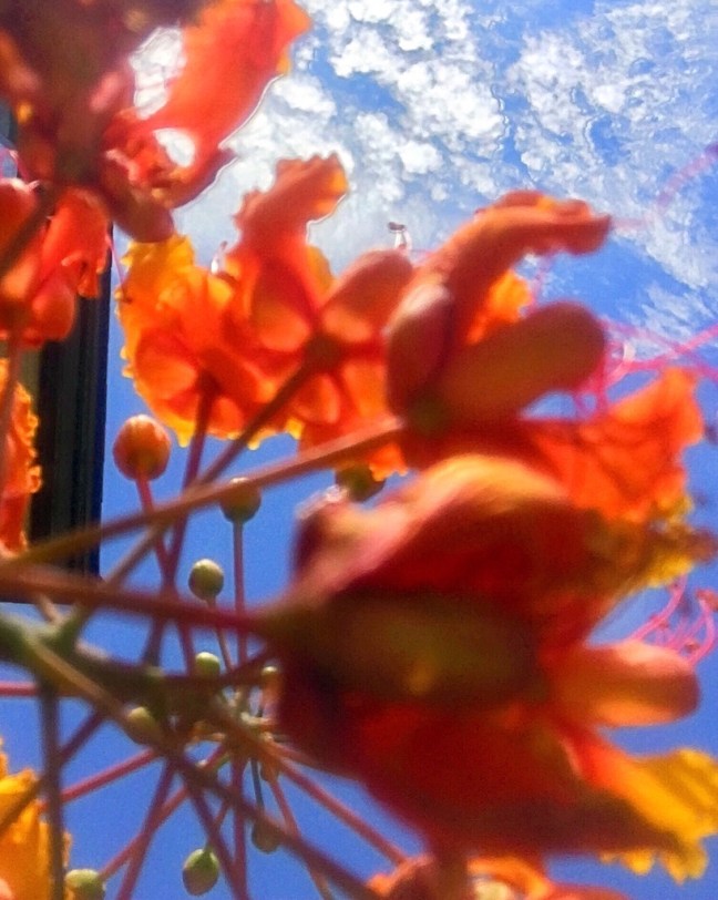 UNADJUSTEDNONRAW_thumb_10f9e