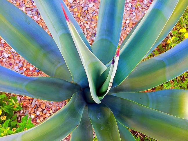 UNADJUSTEDNONRAW_thumb_10fc3