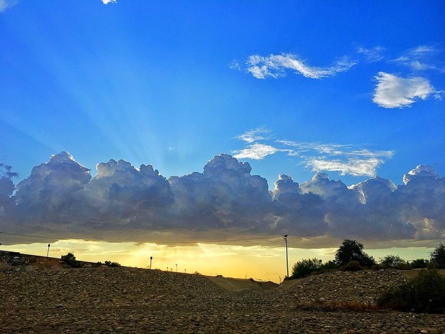 UNADJUSTEDNONRAW_thumb_114d6