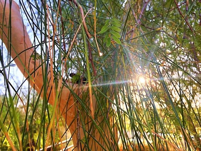 UNADJUSTEDNONRAW_thumb_11555