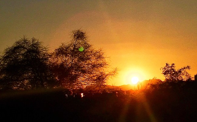 UNADJUSTEDNONRAW_thumb_11637