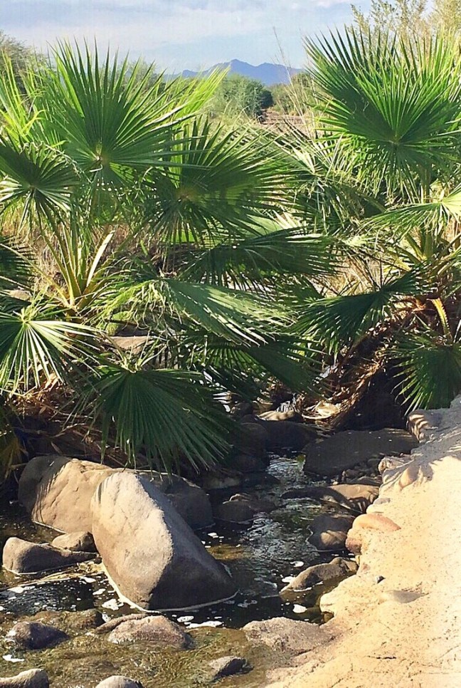 UNADJUSTEDNONRAW_thumb_1167e