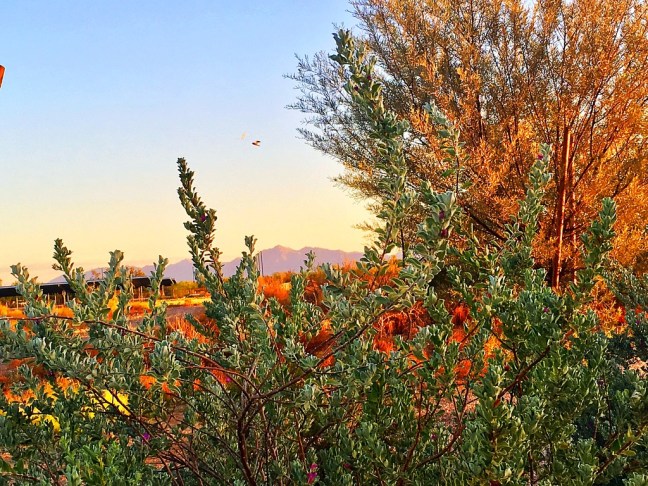 UNADJUSTEDNONRAW_thumb_116b1