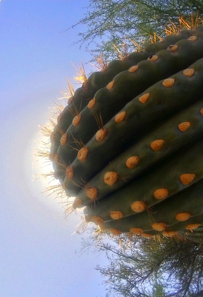 857060A6-5ADF-4337-AAC9-AE323F0FC88B_1_105_c