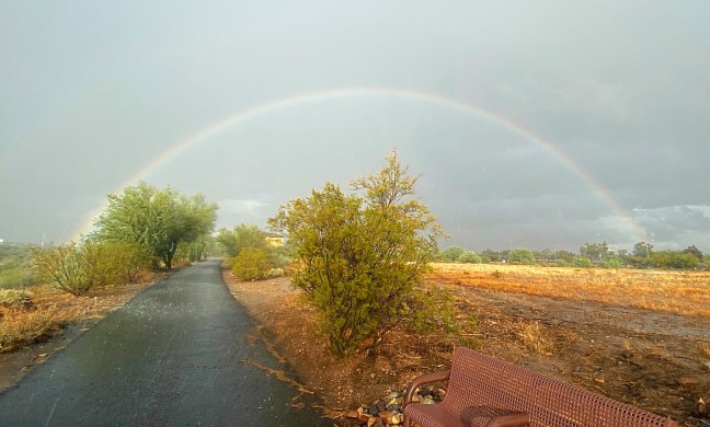 D3AEE445-D430-4ADF-B5AA-AEA1728EA249_1_105_c