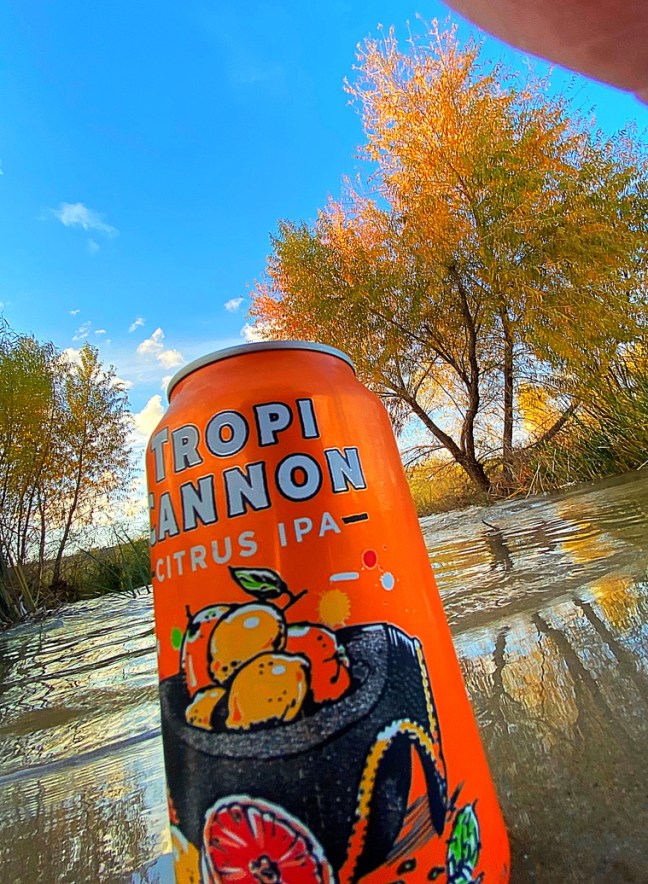 46E7E568-1ED4-416F-9D49-275D16570F54_1_105_c