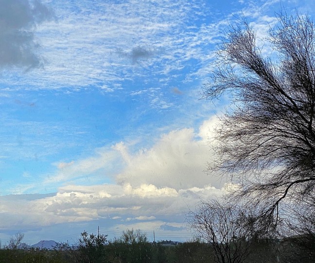 5B7B342E-9B03-4A22-87B6-A3E6DF3B370E_1_105_c