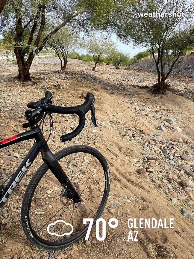 997E9437-371A-4F79-8F8D-44ADC0C31A0C_1_105_c