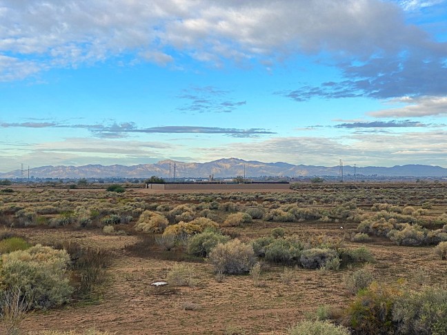 9AE526CF-7E6C-4E01-AAF0-5E2BA83A3DA6_1_105_c