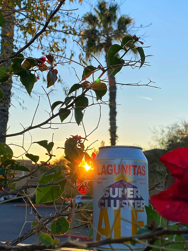 C3AB1600-B769-40F0-AB99-EDB4389428D5_1_105_c