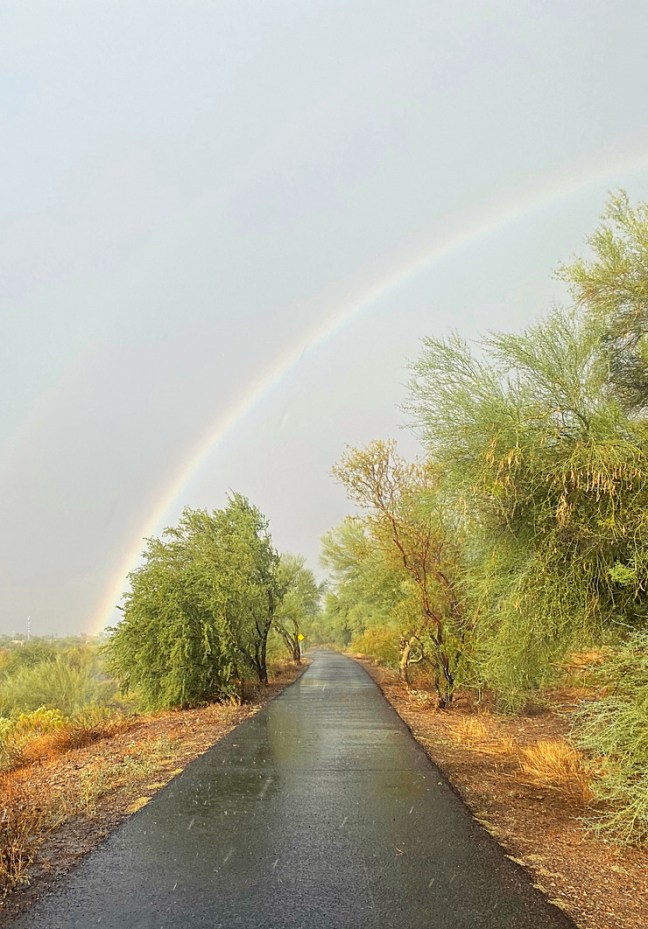 F87BAB5C-7B76-4D08-94F3-D73C15547A0C_1_105_c