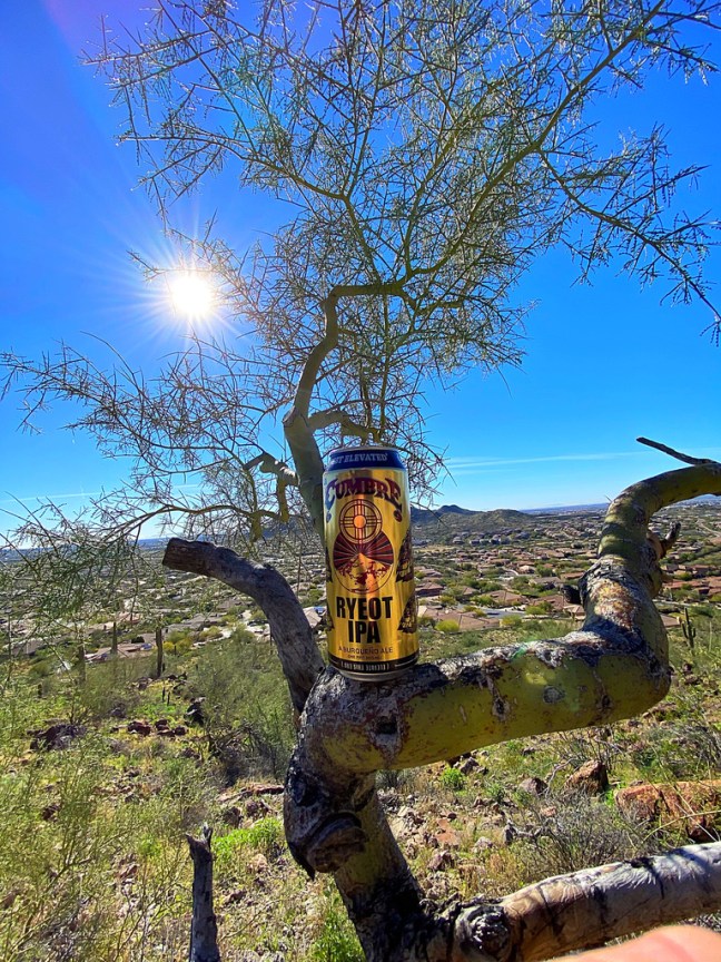 1C06733A-6397-4CEC-B6C8-0E1EAEC14377_1_105_c