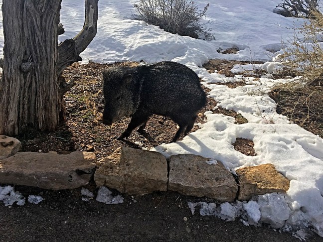 536D810D-661D-4D19-8C29-0A574EC31D67