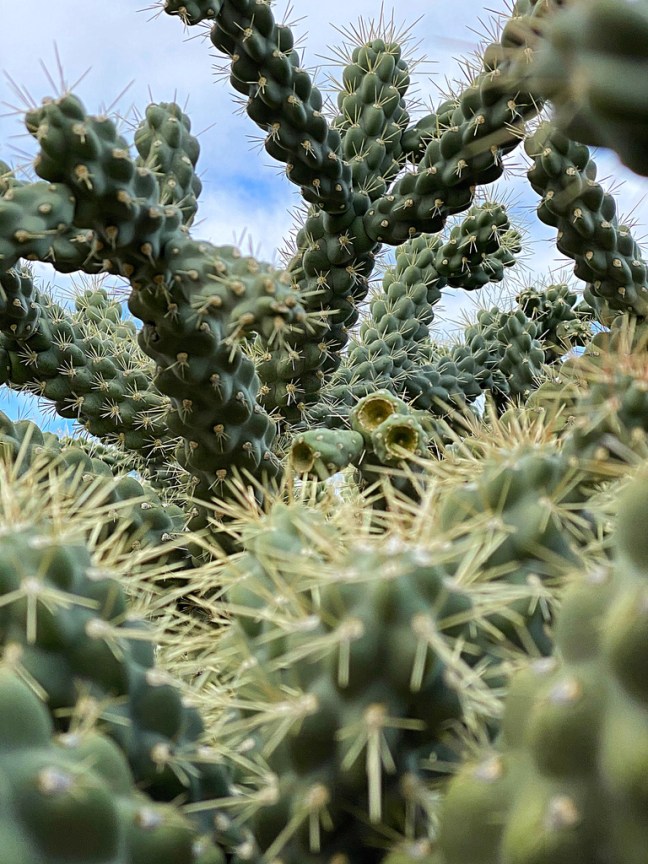 6E056BD5-4C08-4E70-8AEB-CB8948D57BC5_1_105_c