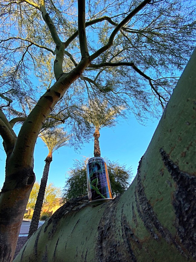 703852C1-CF56-4D93-8204-A6E24F4BD199_1_105_c