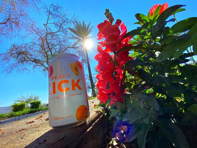 740FD05B-D71B-4511-A9B9-7BB268921388_1_105_c