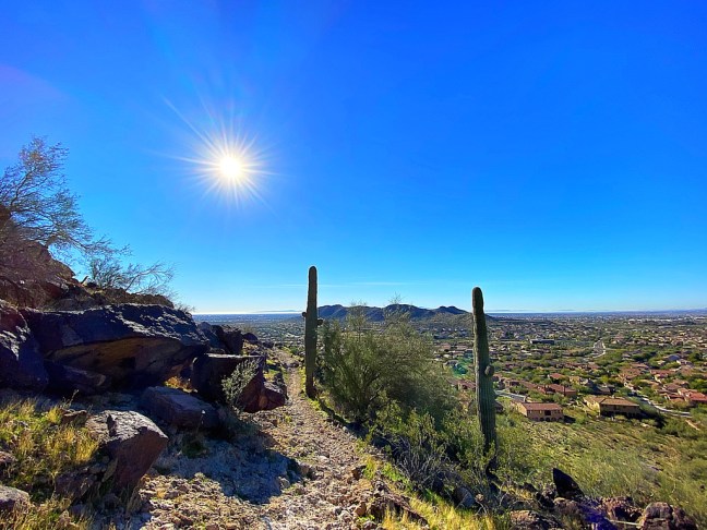 94E10FFA-1BDE-4E32-96CB-C6A4AAE4ECE8_1_105_c