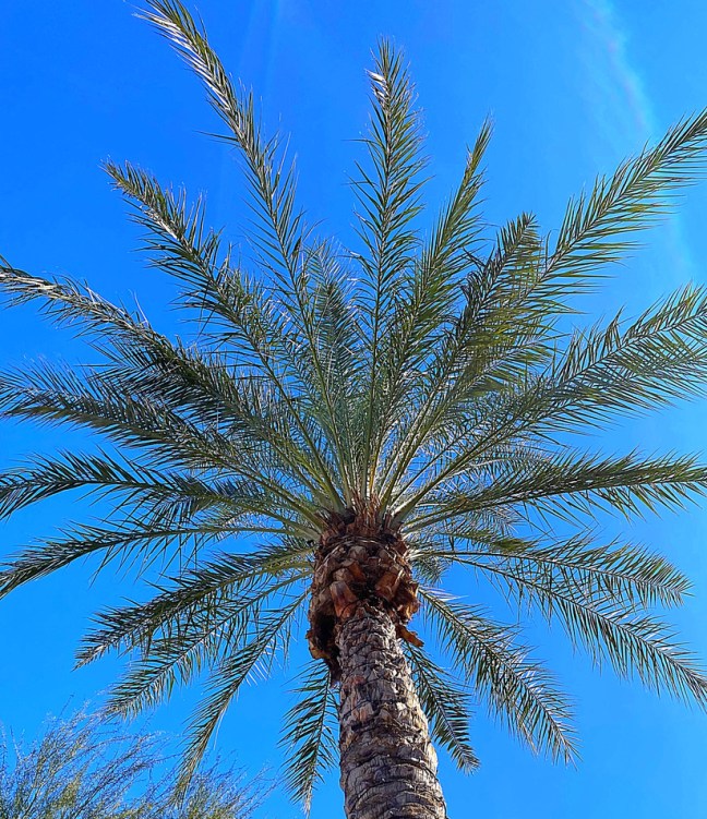 B0EC8E16-8965-4105-942C-B63657E923E5_1_105_c