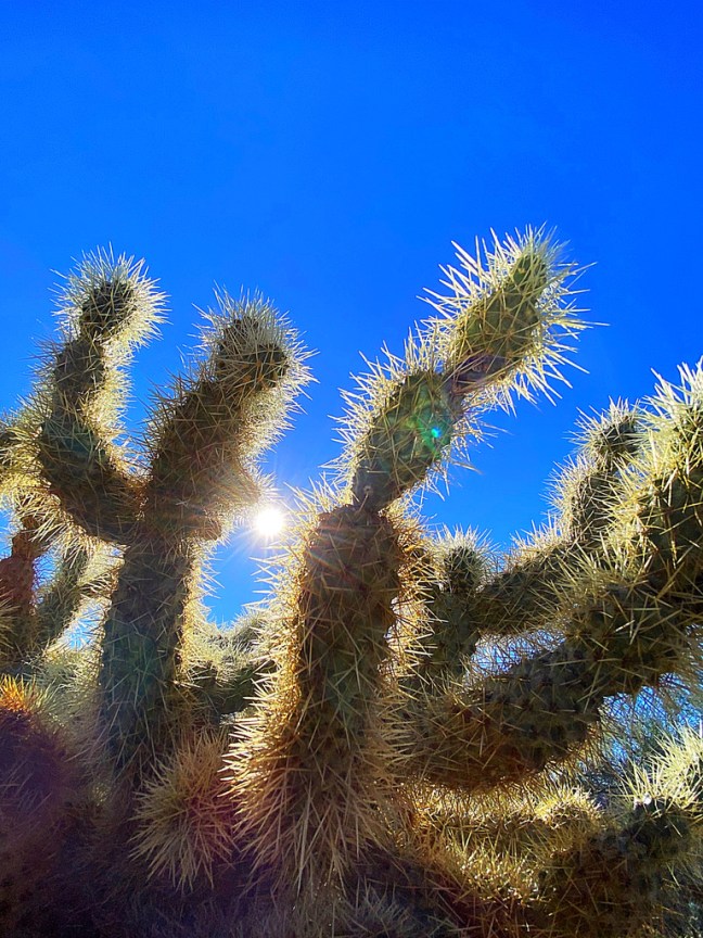 C0A9A43E-B047-47FB-B49E-37F0E23F39ED_1_105_c