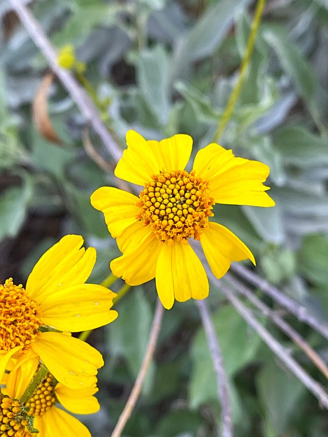 DE0CBBE5-C8EC-48BF-84DA-764F7048CADA_1_105_c