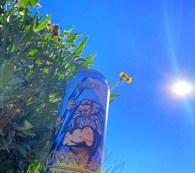 EF9C1504-5D50-44E4-9109-12611FC330C0_1_105_c