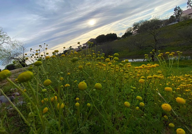 4668A35C-63B4-4AFF-8173-D90A1981AB24_1_105_c