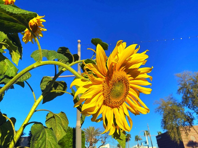 5E27B1B4-A6B3-4A25-A32C-C496761A1D9C_1_105_c