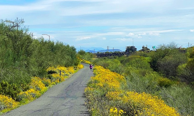 882E69B2-D667-44EB-B651-AD500AE7DA01_1_105_c