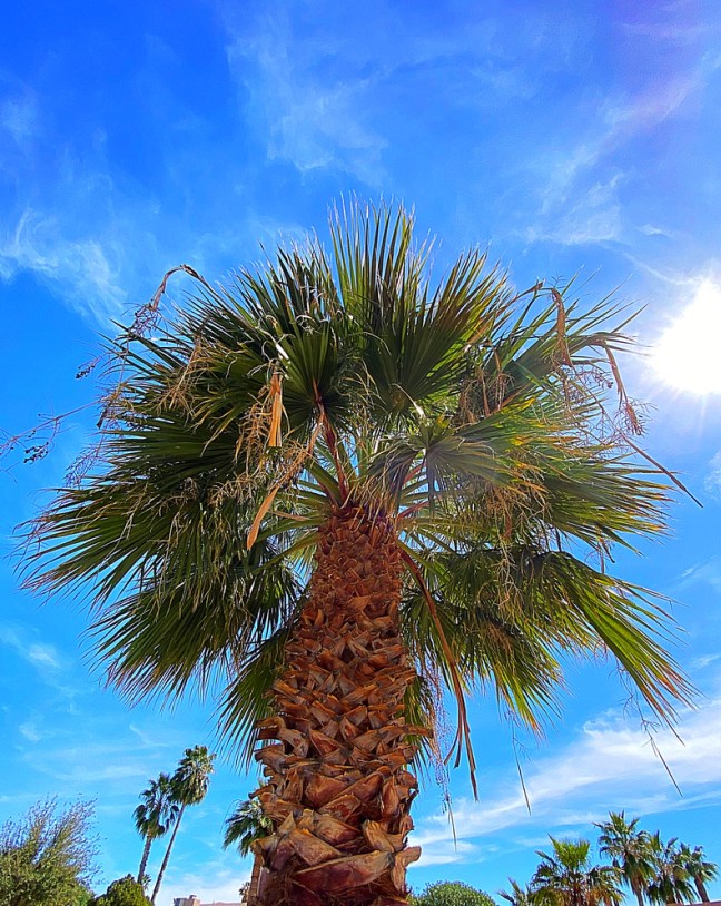 DCD49D52-824C-474C-BDE7-BE1622A00CBF_1_105_c