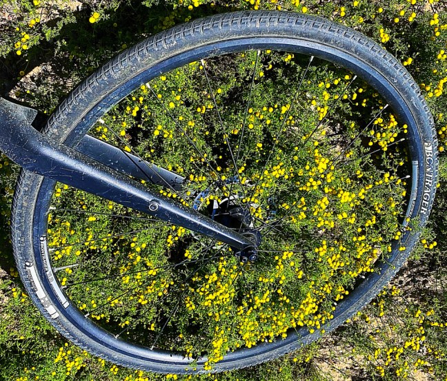 DE0E6BD5-872C-49E0-8EBB-D27274D6D738_1_105_c