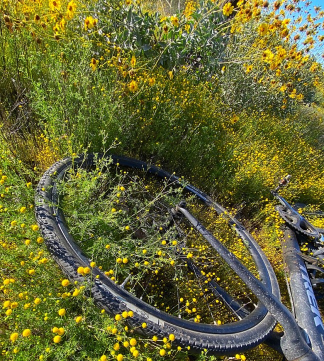 DF04D486-6DAB-49C2-8EF4-4C8372657115_1_105_c