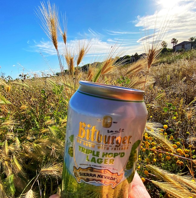 2E11DFF7-F129-470B-B19D-16C4B925E733_1_105_c