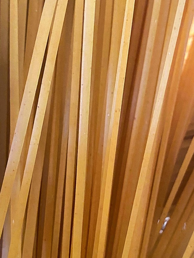 AD203F18-AFF4-4B6C-8CDB-7A418EE2FF90_1_105_c